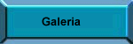 Galeria de Imgenes